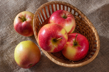 Red-yellow ripe apples in and around the basket