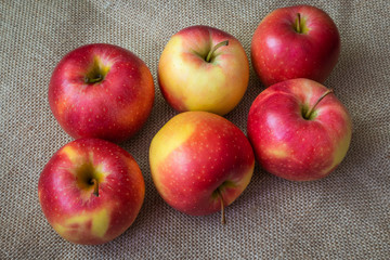 Six red-yellow ripe apples on a background of burlap