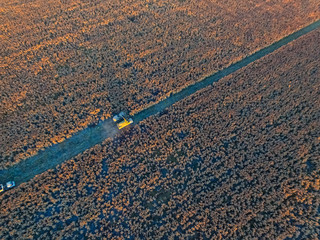 Obraz premium Sorghum harvest, in La Pampa, Argentina