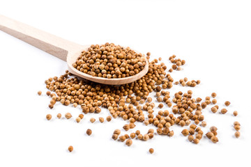 coriander seeds in wooden spoon isolated on white background.