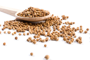 coriander seeds in wooden spoon isolated on white background.