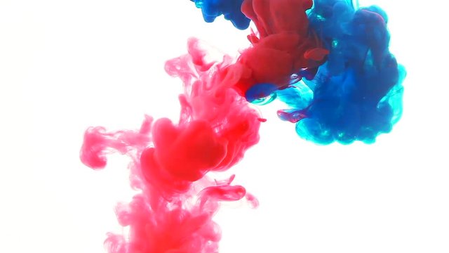 Mix Red and Blue color paint ink drops in water slow motion full hd video white background with copy space. Inky cloud swirling flowing underwater. Abstract isolated smoke explosion