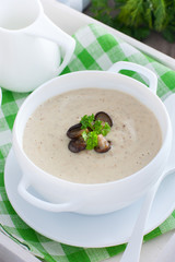 Oyster mushroom mushroom soup in a white plate, selective focus