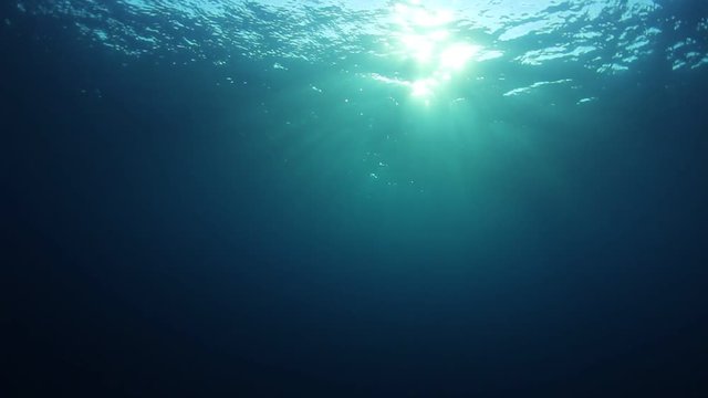 Underwater video in ocean 