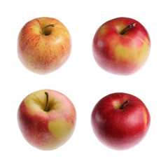 Apples on white background. Isolated on white. Fresh fruit.
