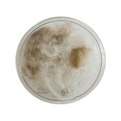 Fluff and feather in a round plastic bag isolated on white background. Filling for down jacket. The selected path