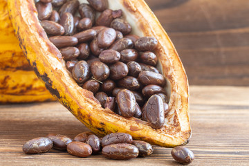 Cocoa Pod Fruits with cocoa bean on a dark rustic wooden table background
