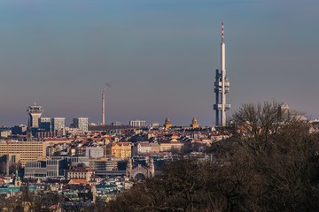 Fototapeta na wymiar View of the Czech republic capital city, Prague and one of its landmarks, famous tall observation tower at Zizkov, houses, chimney with smoke, horizon in distance, grey evening sky, tree in foreground