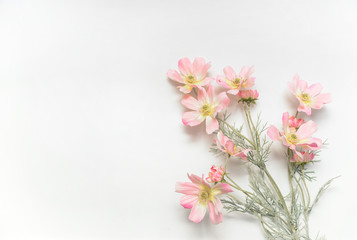 Naklejka na ściany i meble Flowers spring
