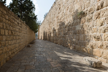 At The Davidson Center in Jerusalem