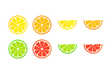 Collection of slices lemon, orange, grapefruit and lime on white background. Vector illustration.