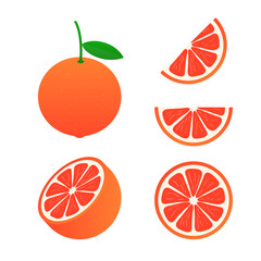 Vector grapefruit. A whole grapefruit and a cut. Vector illustration.