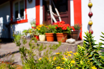 Maritimer blumiger pitoresker Hauseingang