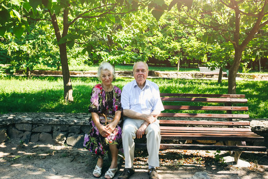 Beautiful old couple is sitting on the bench in the park. Grandma and grandpa are hugging and smiling. Happy golden wedding anniversary. Romantic photo of grandmother and grandfather. Real love.