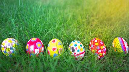 Eeggs decorated with bright colors Placed in a lawn with beautiful sunshine. Easter concept.