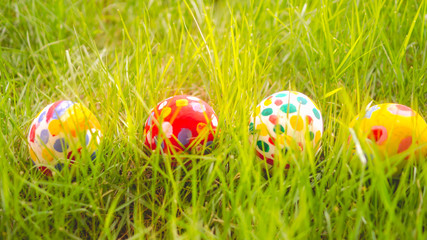 Eeggs decorated with bright colors Placed in a lawn with beautiful sunshine. Easter concept.