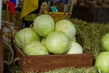 cabbages in a wooden box