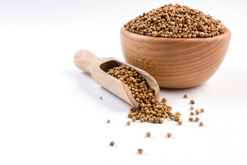 coriander seeds  in wooden bowl and scoop isolated on white background with copy space.