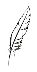 Logo feather bird 
