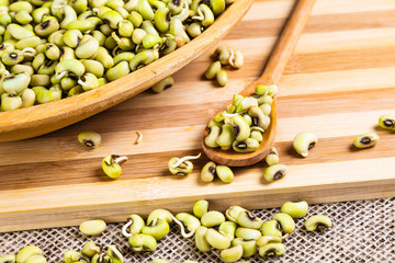 Green String Bean - typical northeastern food with dende oil