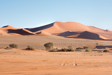 Red sand dunes in Namibia