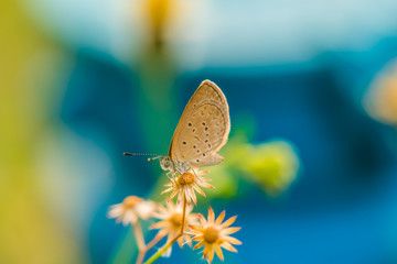 Afternoon light on clear day.10