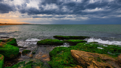 Colorful sea shore with green algae at cloudy weather