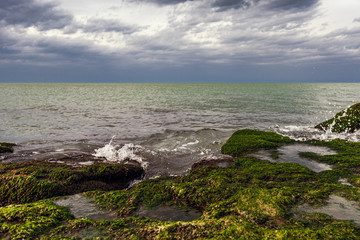 Fototapeta na wymiar Colorful sea shore with green algae at cloudy weather
