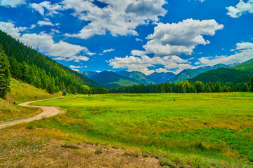 Alpine Meadow With Mountains