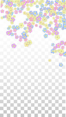 Colorful Vector Realistic Petals Falling on Transparent Background.  Spring Romantic Flowers Illustration. Flying Petals. Sakura Spa Design. Blossom Confetti. Design Elements for Wedding Decoration.