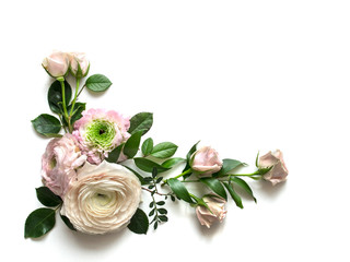 Obraz na płótnie Canvas Composition from pink Ranunculus on white background with space for text. Floral background. Top view. Copy space. Mock-up