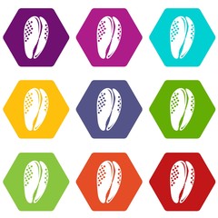 Aquatic shell icons 9 set coloful isolated on white for web