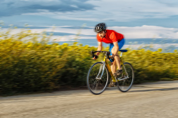 Fototapeta premium A cyclist rides on a road bike quickly along fields of sunflowers.
