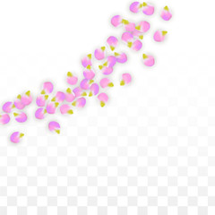Vector Realistic Pink Petals Falling on Transparent Background.  Spring Romantic Flowers Illustration. Flying Petals. Sakura Spa Design. Blossom Confetti.