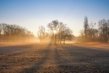 Tiefstehende Sonne und Nebel im winterlichen Stadtpark von Magdeburg