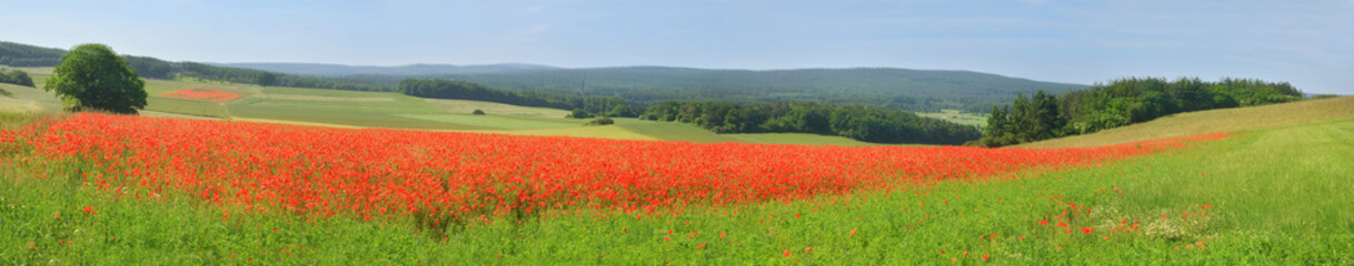 Eifel Landschaft Panorama