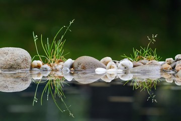 The grass grows in the stones by the water. East Moravia. Europe.