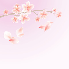 Branch of sakura with flowers and flying petals isolated on soft Pink gradient background. Sakura petals. Vector