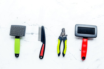 concept pet care and training on stone background top view