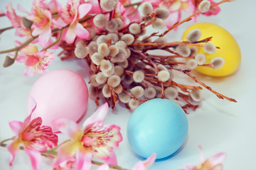 pink yellow blue eggs against a background of willow and flowers for the Easter holiday