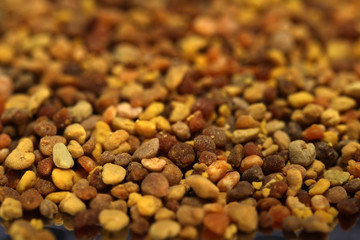 Blütenpollen Propolis