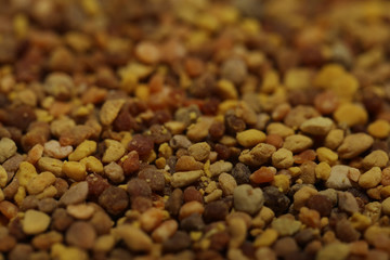 Blütenpollen Propolis