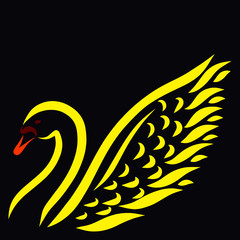 Beautiful bright swan on a black background