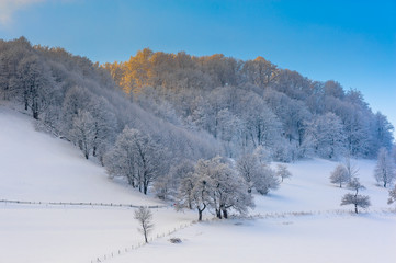 Fairy tale winter
