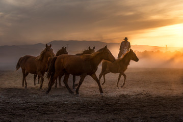 Obraz na płótnie Canvas The cowboy who tamed horses at sunset