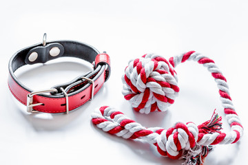 concept pet care and grooming on white background