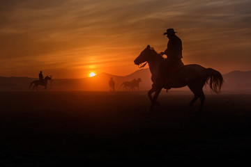 wild horses sunset and cowboy