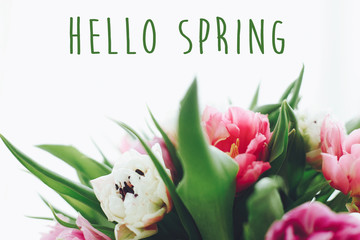 Hello spring text sign on beautiful double peony tulips bouquet in light. Springtime. Stylish floral greeting card. Hello march
