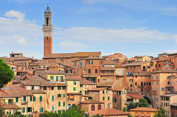 Fototapeta na wymiar View over the old town towards the Torre del Mangia on the Palazzo Publico, Siena, Tuscany, Italy.