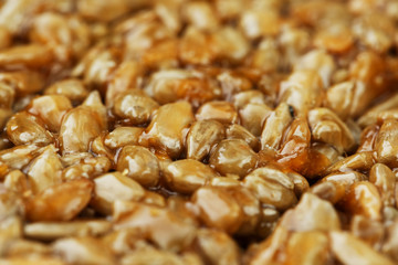 Kozinaki from golden, roasted sunflower seeds as a background, texture. Macro shooting,